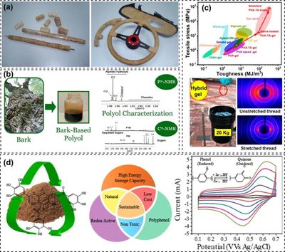 樹基生物聚合物作為可持續(xù)多功能材料的研究進展