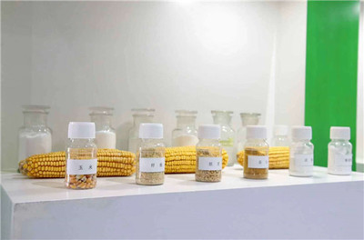 【大國小鮮@新發展理念】濮陽市南樂縣:發展生物基材料產業 助力生態文明建設