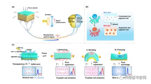 同濟大學 受生物啟發合成hof基發光皮膚傳感器具有三重力致變色響應材料