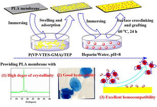 寧波材料所在生物基聚合物微孔膜制備及改性方面取得研究進(jìn)展
